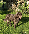 IMG_8145.png