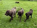 IMG_8097.jpg