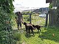 IMG_8196.jpg