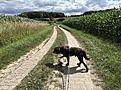IMG_8847.jpg
