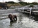 IMG_8996.jpg