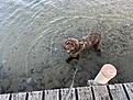IMG_8985.jpg
