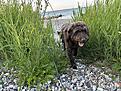 IMG_8976.jpg