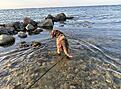 IMG_8980.jpg