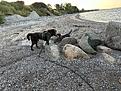 IMG_8989.jpg