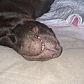 20260727_065235.jpg