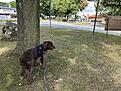 IMG_9120.jpg