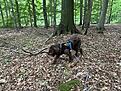 IMG_9341.jpg