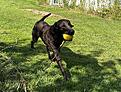 IMG_8360.jpg