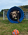 Design ohne Titel_20260824_193347_0000.png