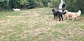 20260824_180215.jpg