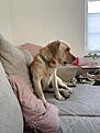 IMG_4747.jpg