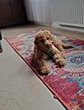 20260920_095920.jpg