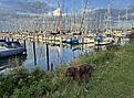 IMG_1727.jpg