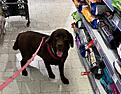 IMG_1869.jpg