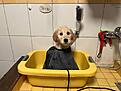 IMG-20260925-WA0013.jpg