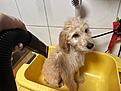 IMG-20260925-WA0015.jpg