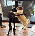 IMG-20261021-WA0003[1].jpg