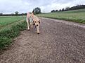 IMG_20261024_090826.jpg