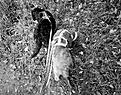 IMG-20261023-WA0000.jpg
