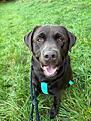 IMG-20261020-WA0000.jpg