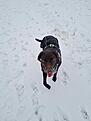 20210103_130351.jpg