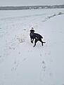20210103_130342.jpg