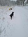 20210103_121835.jpg