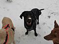 IMG-20210103-WA0024.jpg