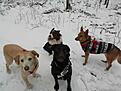 IMG-20210103-WA0014.jpg