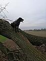 IMG_20201216_132550.jpg