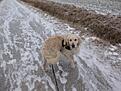 IMG 1286