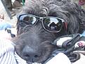 Balu